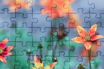 OK jigsaw puzzle