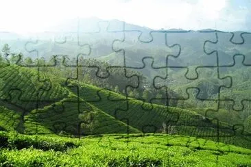 Foto jigsaw puzzle