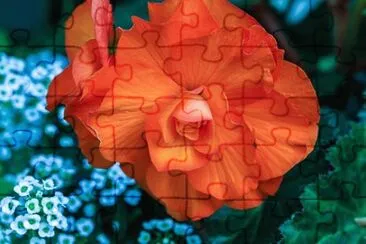 OK jigsaw puzzle