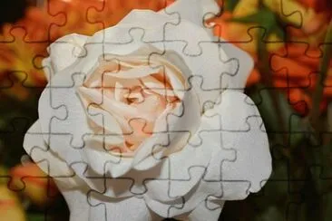 פאזל של OK