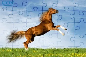 486