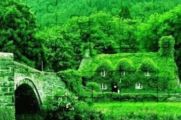 Foto jigsaw puzzle