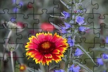 OK jigsaw puzzle