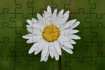 OK jigsaw puzzle