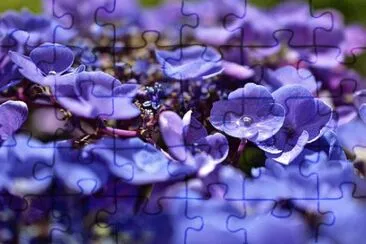 OK jigsaw puzzle