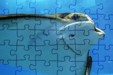 Foto jigsaw puzzle