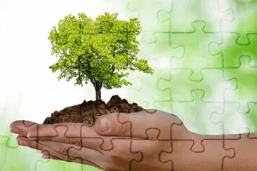 523 jigsaw puzzle