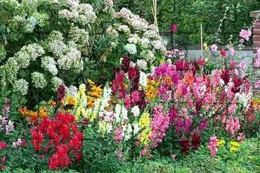 Flower Border jigsaw puzzle