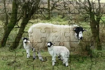 Rough fell jigsaw puzzle