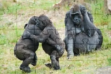 Foto jigsaw puzzle