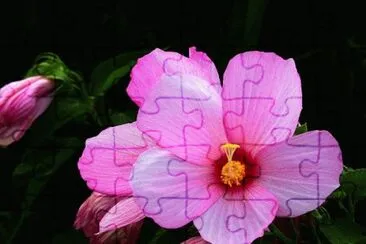 OK jigsaw puzzle