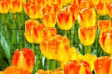 OK jigsaw puzzle