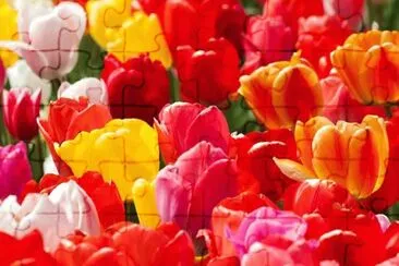 OK jigsaw puzzle