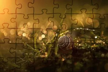 Foto jigsaw puzzle