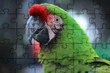 Imagem jigsaw puzzle