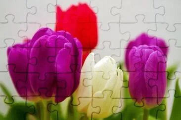 OK jigsaw puzzle