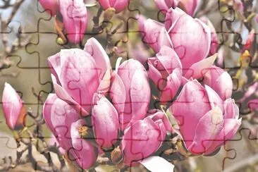 OK jigsaw puzzle
