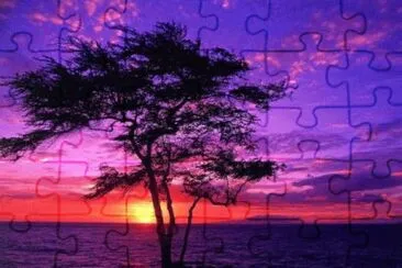 Imagem jigsaw puzzle
