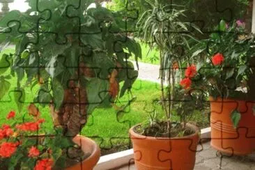 Imagem jigsaw puzzle