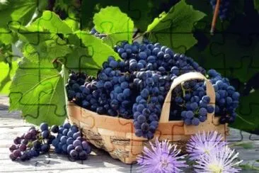 Imagem jigsaw puzzle
