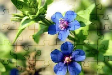 OK jigsaw puzzle
