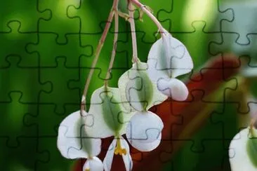 OK jigsaw puzzle