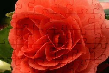 OK jigsaw puzzle