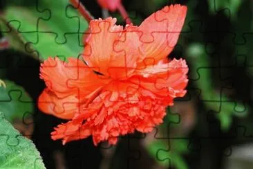 OK jigsaw puzzle