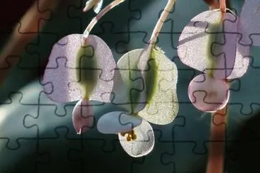OK jigsaw puzzle