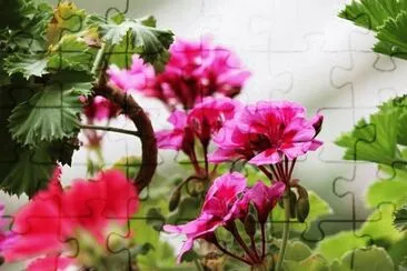 OK jigsaw puzzle
