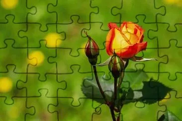 OK jigsaw puzzle