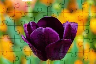 OK jigsaw puzzle