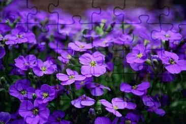 OK jigsaw puzzle