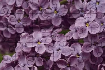 OK jigsaw puzzle