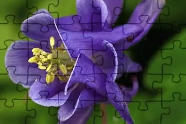 OK jigsaw puzzle
