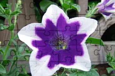 OK jigsaw puzzle