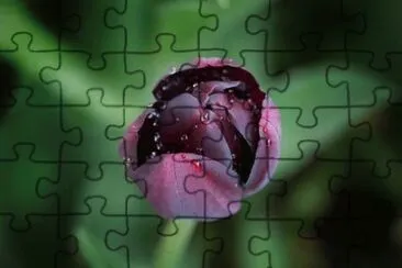 OK jigsaw puzzle