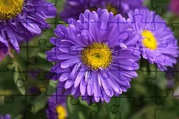 OK jigsaw puzzle