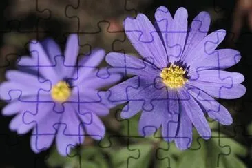 OK jigsaw puzzle