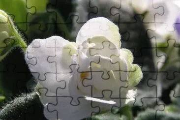 OK jigsaw puzzle