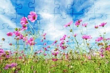 Foto jigsaw puzzle