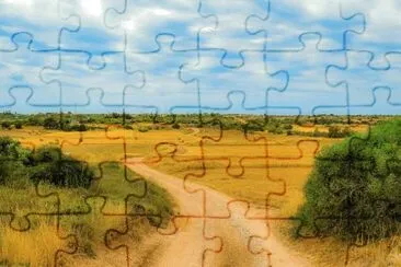 Toy jigsaw puzzle