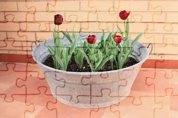 OK jigsaw puzzle