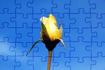 Foto jigsaw puzzle