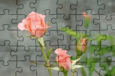 Foto jigsaw puzzle