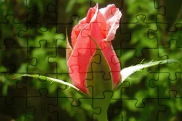 Foto jigsaw puzzle