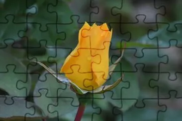 Foto jigsaw puzzle