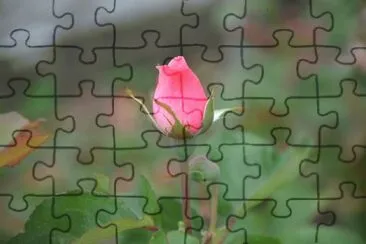 Foto jigsaw puzzle