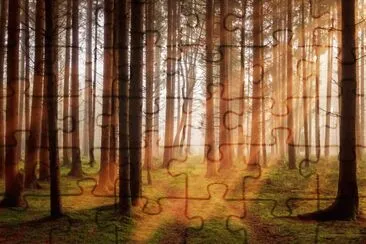 Foto jigsaw puzzle