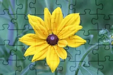 OK jigsaw puzzle